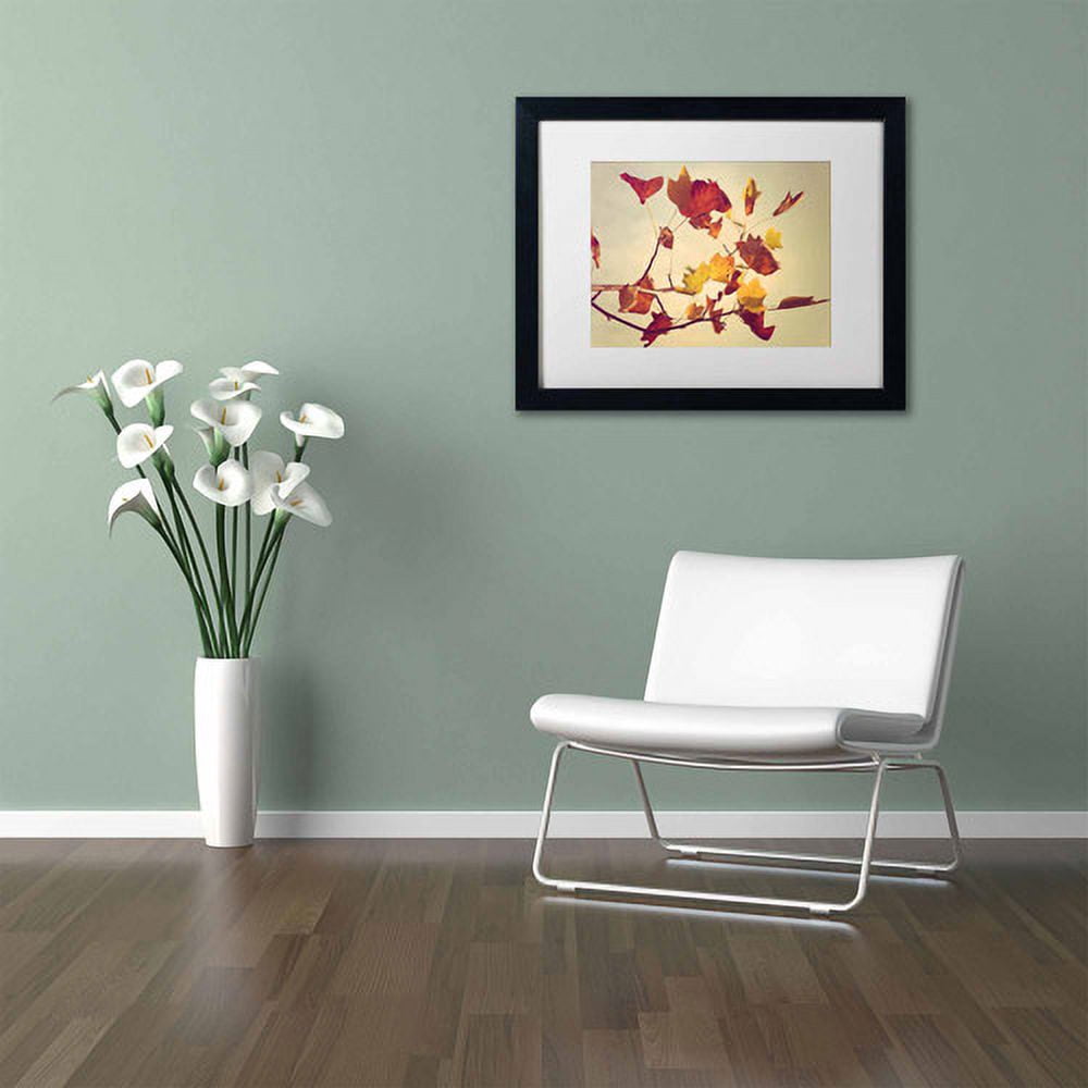 Trademark Fine Art "Still Fall" Canvas Art by Philippe Sainte-Laudy, White Matte, Black Frame
