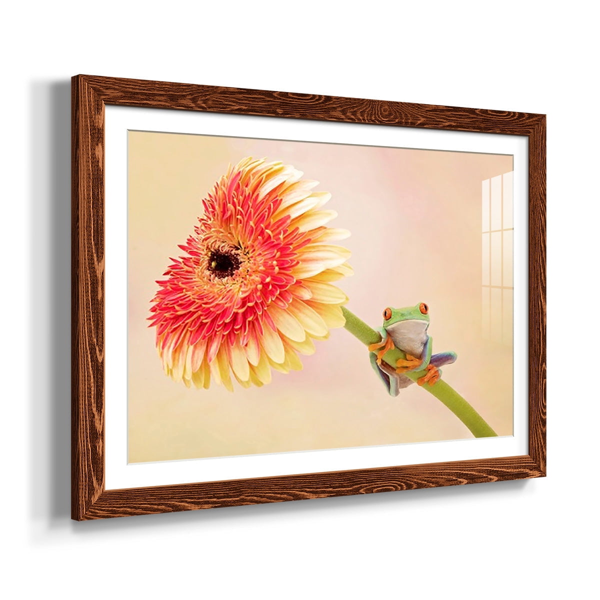 Hanging On IX-Premium Framed Print - Ready to Hang