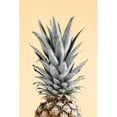 thumbnail image 3 of 1x Studio III 17x24 Black Modern Framed Museum Art Print Titled - Pineapple Yellow 04, 3 of 5