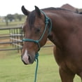thumbnail image 3 of Equissential Rope Halter with 8ft Attach, 3 of 4