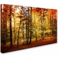 thumbnail image 2 of Trademark Fine Art Philippe Sainte-Laudy Brilliant Fall Color Canvas Wall Art - 12x19, 2 of 3