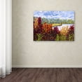 thumbnail image 3 of Trademark Fine Art "Summers End" Canvas Art by Mandy Budan, 3 of 3