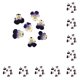 thumbnail image 1 of Toystoory 12 piezas de artesanías de flores secas, artesanías multipropósito DIY, flores prensadas, joyería artesanal, accesorio de tipo 6 10Conjunto, 1 of 6