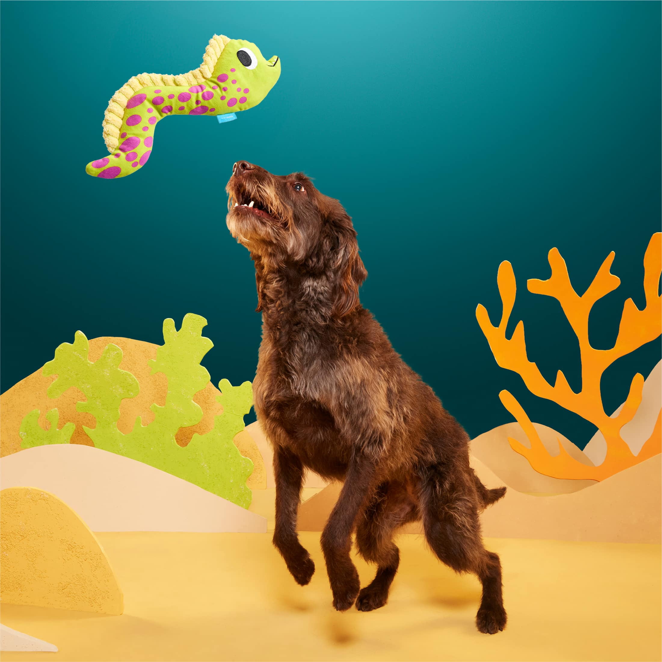 BARK Maury Eel Ocean Eel Squeaky Plush Dog Toy, Green