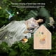 thumbnail image 4 of Box Bird Singing Speaker with Smart Animal Noise Machine for Bedroom Living Room Relaxation, 4 of 5
