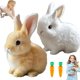 thumbnail image 1 of Toy Bunny WSNDNSWR Easter My Realistic Bunny Interactive, 1 of 7