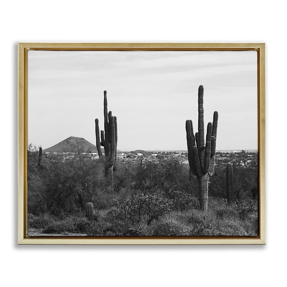 Stupell Industries Southwestern Desert Cactus Arid Vegetation Monochrome Nature Photography Gold Floating Frame Canvas Art, 31 x 25, by Graffitee Studios