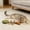 C, variant on Fix Your Cat’s Dental Health,2026 New Creative Fish Bone Cat Toy,Wooden Catnip Teeth Cleaning Stick, Natural Fishbone Cat Dental Toy,Durable Feline Tooth Care Tool