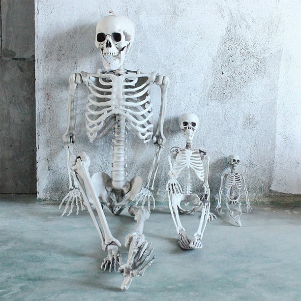 Squelette d'Halloween, squelette d'halloween Complet, Squelette avec Joints Mobiles pour Décoration d'Halloween