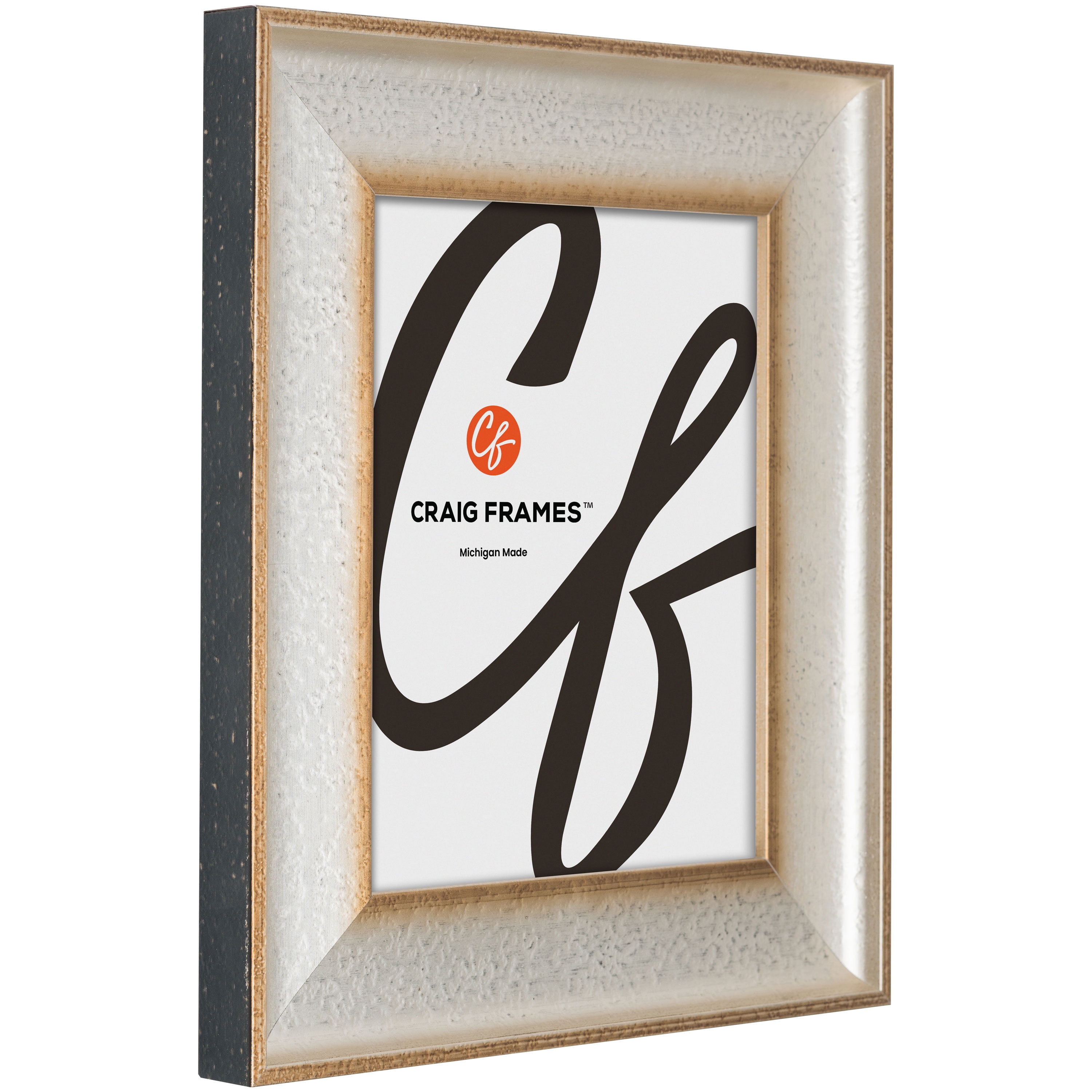 Craig Frames Cairo, 18x24 Picture Frame, Silver