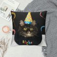 thumbnail image 2 of Black Cat PlushCat Stuffed Animal, Soft Cute Cat PlushieCat Shape Design Pillow for Boys Girls, Sofa Bedroom (Birthday Cat), 2 of 5