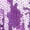 Purple, variant on Girls Boys Glitter Hip Hop Dance Top With Hat Sequin Tassels Zip Up Jacket Jazz Cha Cha Latin Dance Outfits Royal Blue 6