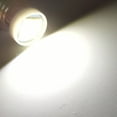 thumbnail image 5 of Ruiandsion E10 Mini Light LED Bulb,6V 0.3W 6000K White, Non-Polarity for Flashlight,4-Pack, 5 of 9