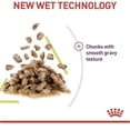 thumbnail image 6 of Royal Canin Sensory Smell Cat Wet Food 12x85g CIG, 6 of 9