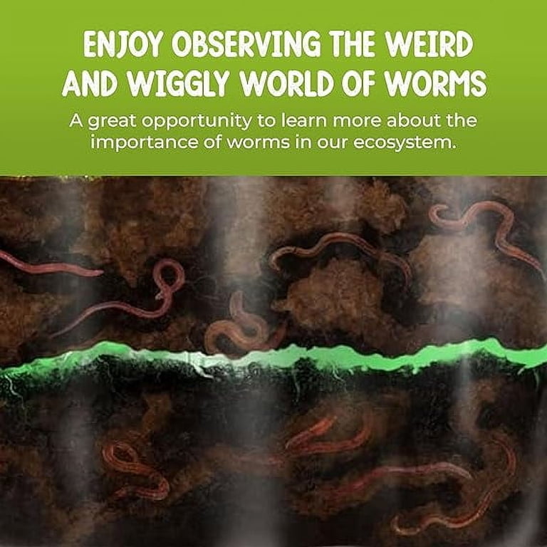 Earthworm Viewer For Children My Living World Worm World - Kids Worm ...