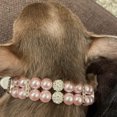 thumbnail image 4 of Collar de perlas rosas para mascotas Vevor, 4 of 5