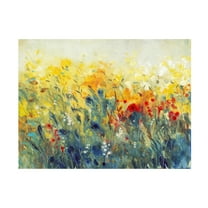 Trademark Fine Art Tim OToole Flowers Sway I Canvas Wall Art - 35x47