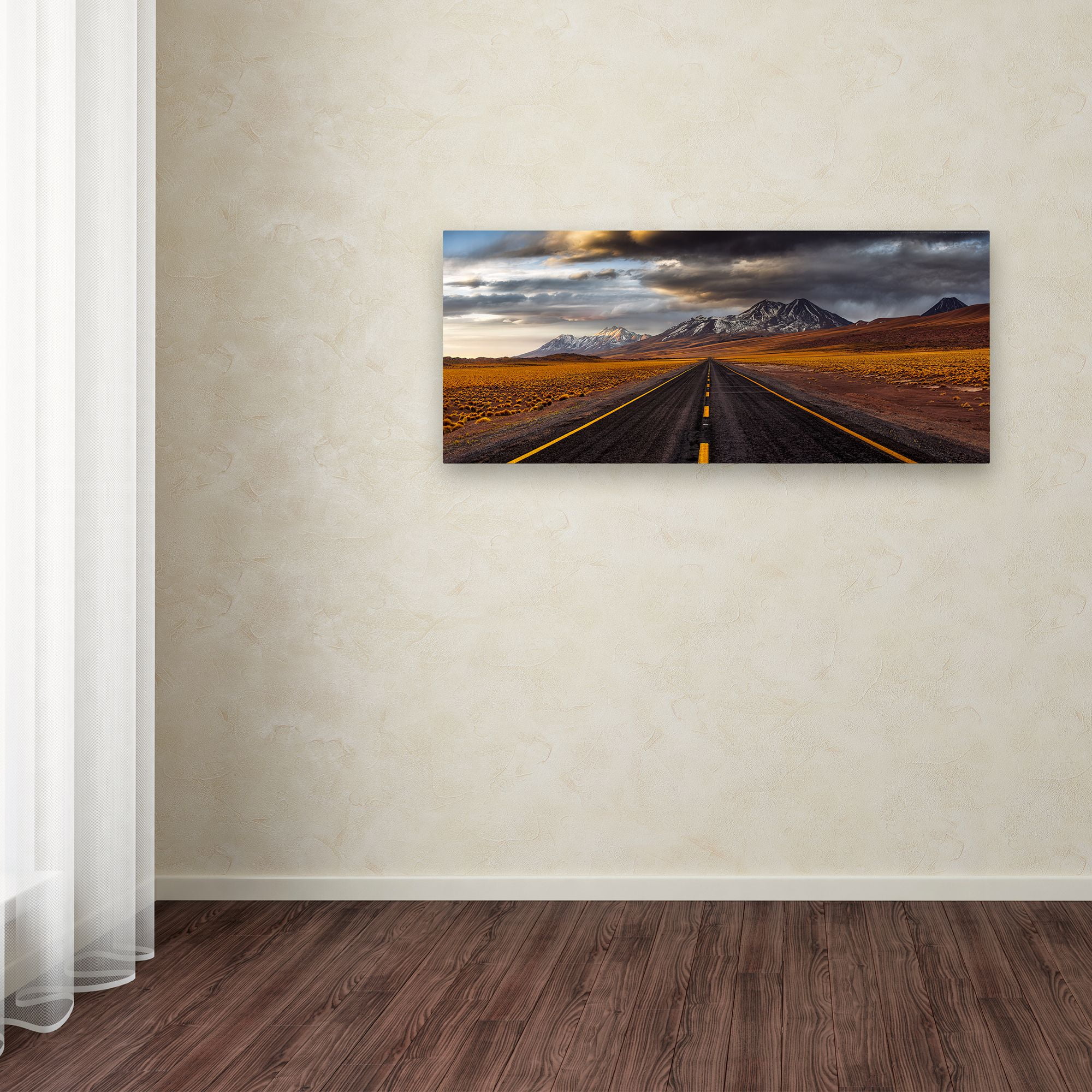 Trademark Fine Art 'Yellow Road' Canvas Art by Adhemar Duro