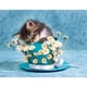 thumbnail image 1 of Cuadros Decorativos 5D diamante pintura DIY taza gatito completo redondo taladro Rhinestone Kit DQrwqpou Nuevos Originales, 1 of 8
