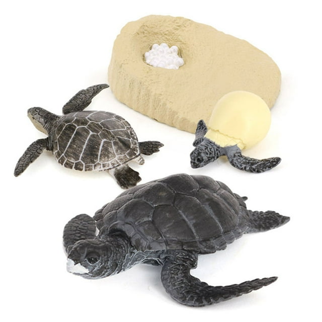 Vogacara 1 Juego de Kit de ciclo de vida de tortuga, creativo, multifuncional, educativo temprano, divertidos modelos cognitivos, animales Juguetes Educativos