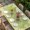 White Emerald Green Lemon Green, variant on Pink Leaves Table Cloths for 8 Foot Rectangle Tables, Green Summer Botanical Pastoral Patio Waterproof Elastic Fitted Tablecloths, Washable Rectangular Table Cover for Camping