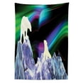 thumbnail image 3 of Ambesonne Polar Bear Tablecloth Rectangular Table Cover, Aurora Borealis Ice, 60"x90", Multicolor, 3 of 4