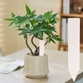 thumbnail image 6 of Single-Character Garden Marker, 1.97 x 0.39 inch Waterproof Plastic Label Stake for Herb Pots, Cactus Containers, Trays, Greenhouse Displays and Outdoor Organization, White, 6 of 7