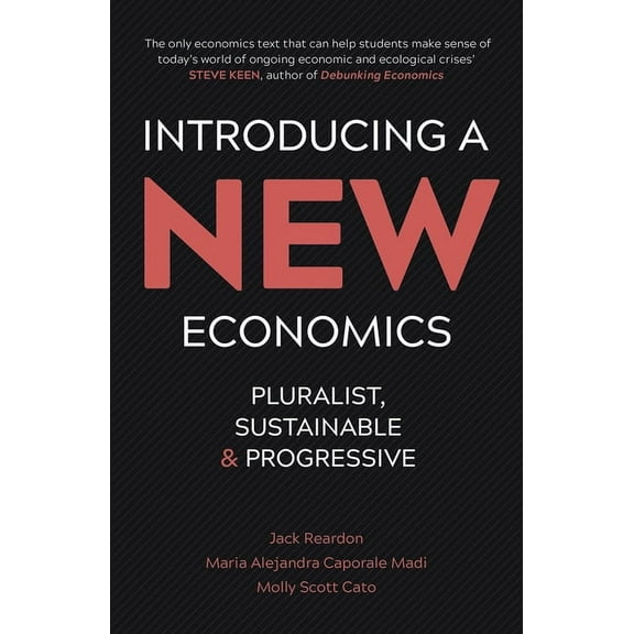 Introducing a New Economics: Pluralist, Sustainable and Progressive, (Paperback)