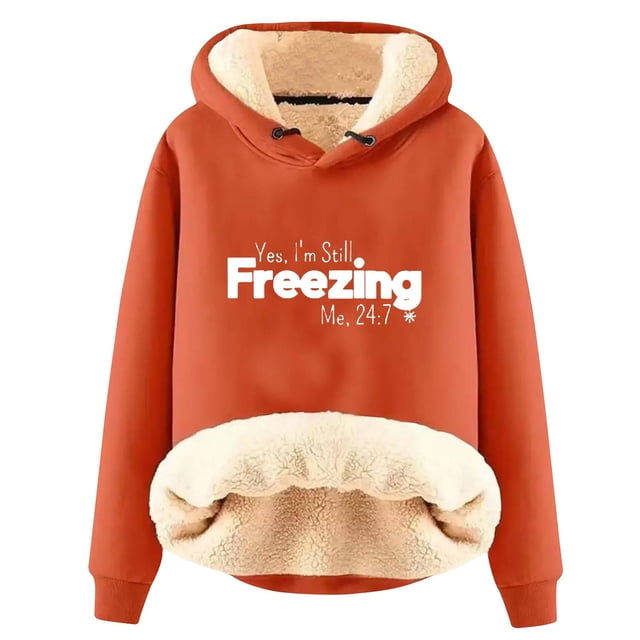 DPTALR Sweat à Capuche d'Hiver Chaud en Peluche Manches Longues pour Femmes