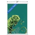 thumbnail image 3 of Snowtap - Chameleon Photobomb Wall Poster with Magnetic Frame, 22.375" x 34", 3 of 5