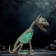 thumbnail image 5 of Estatua de de Halloween, Modelo de Adorno de Esqueleto con Luz, de Escritorio Estética, Estatua de Animal para Estantería de Gabinete, 5 of 5