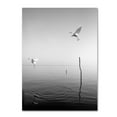 thumbnail image 2 of Trademark Fine Art "Flying" Canvas Art by Moises Levy, 2 of 4