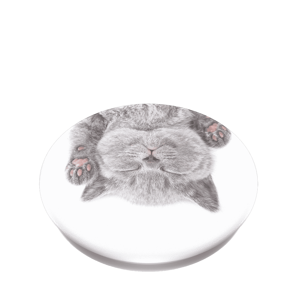  Catgirl Cat Lover I Was Normal 3 Cats Ago PopSockets Swappable  PopGrip : Cell Phones & Accessories