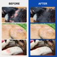 thumbnail image 3 of Pet Cats And Dogs Minor Skin Wounds Scalds, Burns, Scratches External Care Wound Spray 30ML, 3 of 4