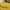Yellow, variant on 18.90x29.13 Inch Stretch Pillow Cases - Jersey Knit & Envelope Closure Pillowcases with Ultra Soft T-Shirt Like Polyester Blend - Suitable for Queen or Standard Size