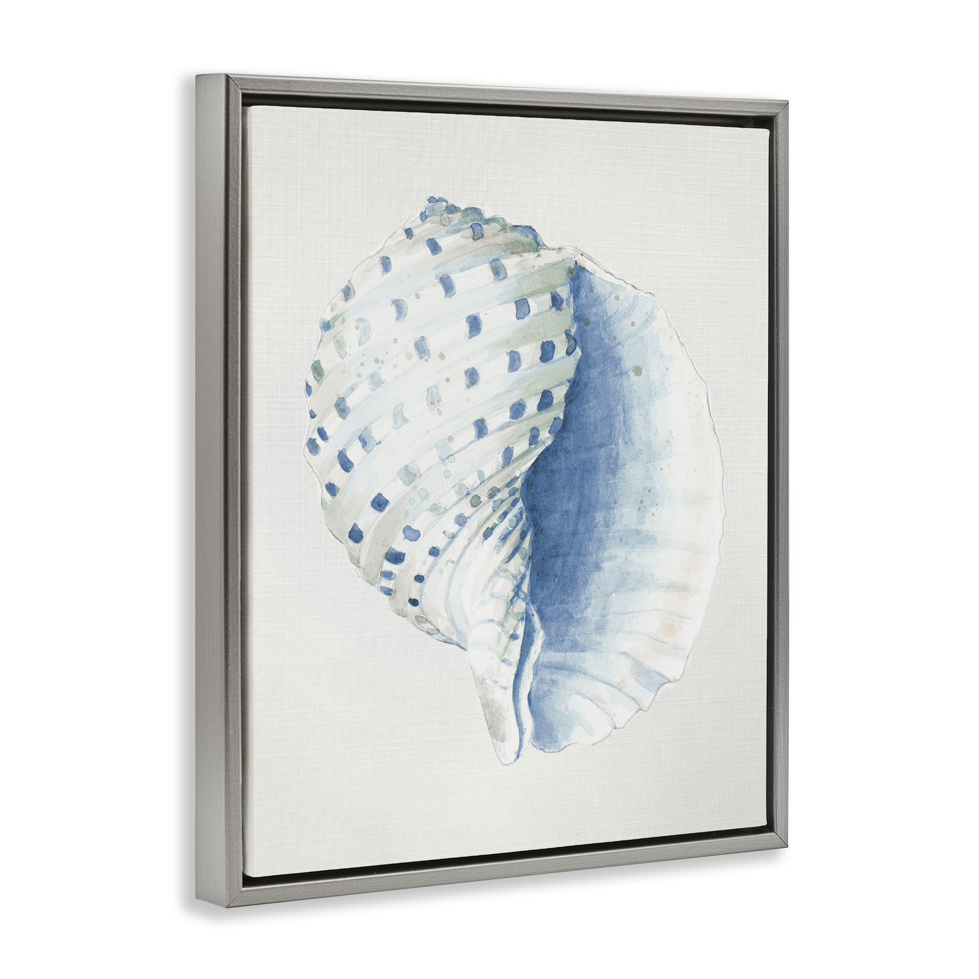 Stupell Industries Spotted Conch Shell Animals & Insects Painting Gray Floater Framed Canvas Art Print Wall Art, 25 x 31