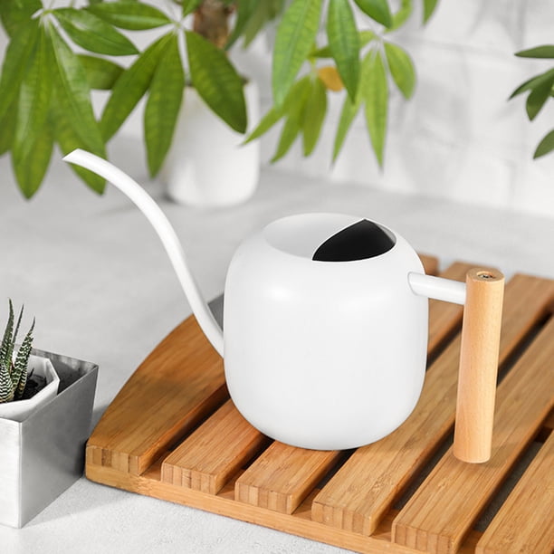 El Riego De Acero Inoxidable Puede Riego De Interior Con De De Picos Largos Para Plantas De La Casa Flores Suculentas Bonsai 1.2L