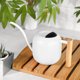 thumbnail image 1 of El Riego De Acero Inoxidable Puede Riego De Interior Con De De Picos Largos Para Plantas De La Casa Flores Suculentas Bonsai 1.2L, 1 of 7