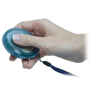 Digital Talking Compass - English-French speaking