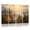 Color 4, variant on 8 Pack Art Acoustic Panels Sound Absorbing Misty Forest Tall Pine Trees Watercolor Style Decorative Soundproof Wall Panels Self Adhesive for Nursery Game Room Bedroom 48"x32"