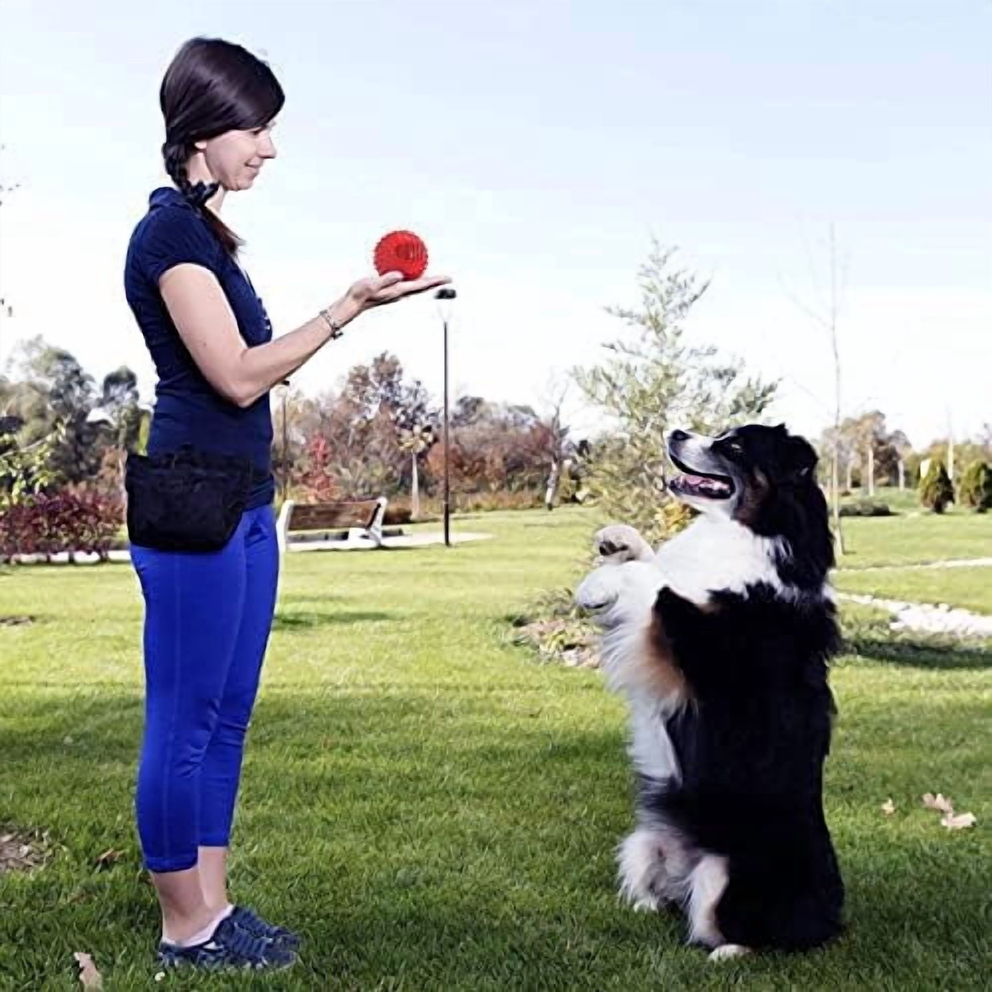 4" Squeaky Dog Balls for Aggressive Chewers, Durable Interactive Dog Chew Toys for Teething, Floatable Indestructible Rubber Spiky Ball, Tough Pet Toys for Small, Medium & Large Breeds