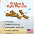 thumbnail image 3 of Nylabone Nubz Wild Dog Chew Treats Bison Small (12 Count), 3 of 10