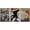 NATURAL, variant on wall26 Framed Canvas Print Wall Art Set Spray Paint Banksy Flower Bomb Graffiti &amp; Street Art Comic Book Illustrations Modern Art Urban Portrait for Living Room, Bedroom, Office - 16"x24&quot