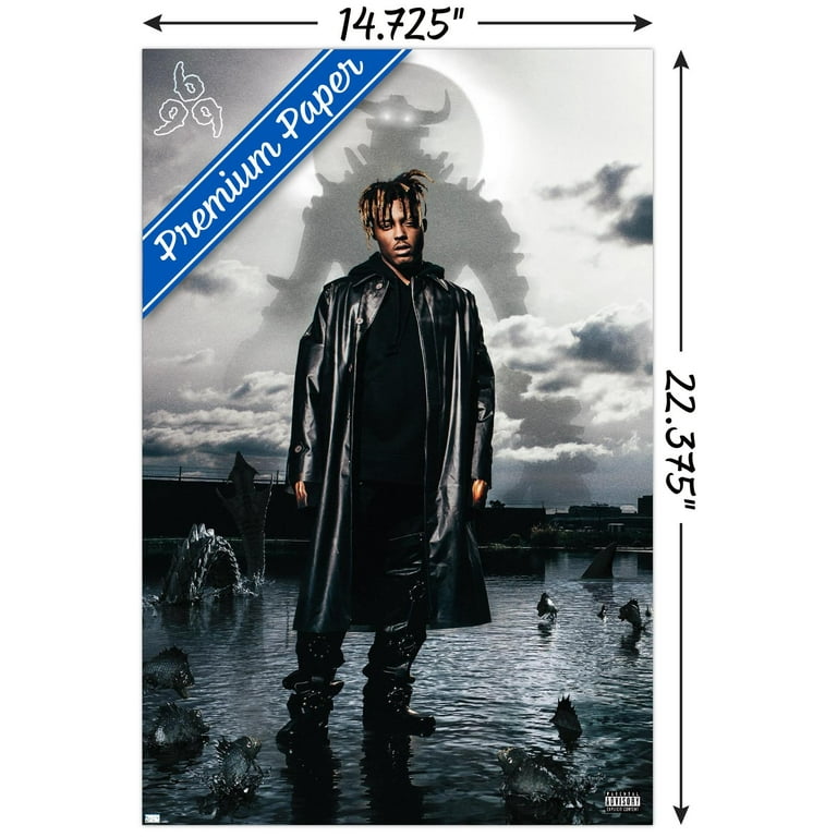 Juice WRLD - Fighting Demons Album Cover Wall Poster, 14.725