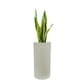 thumbnail image 1 of Maceta Cilíndrica Alta Blanca Moderna/minimalista Macetas Y Maceteros Estilo moderno, elegante y minimalista., 1 of 4