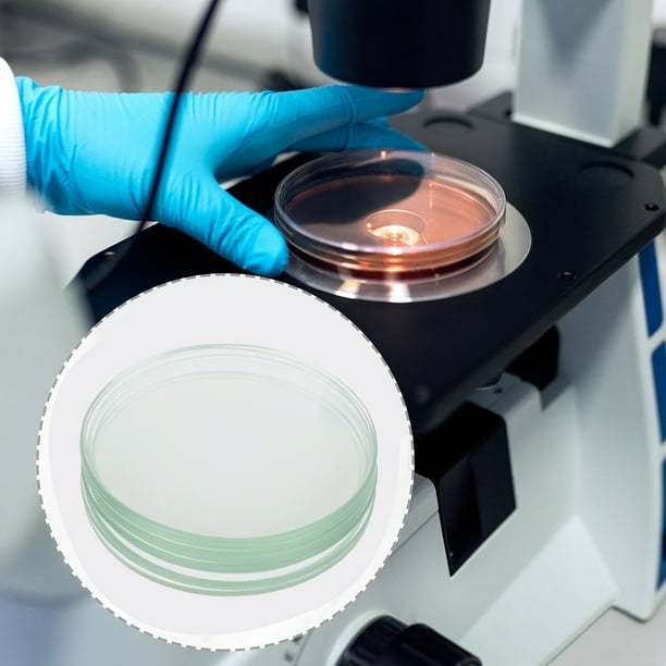 10 Pcs Verres Transparents Pour Montre De Laboratoire Expérience Chimique Scolaire