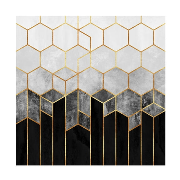 Trademark Fine Art Elisabeth Fredriksson  Charcoal Hexagons Canvas Wall Art