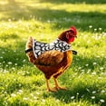 thumbnail image 2 of Chicken Saddles for Hens,Chicken Apron Back with Waterproof Breathable Protective Vest & Adjustable Strap,Farm Mating Injury Prevention,Black, 2 of 7