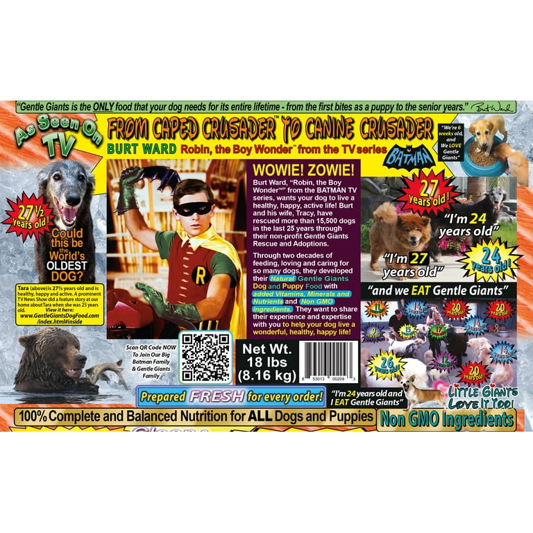 Robin batman shop dog food