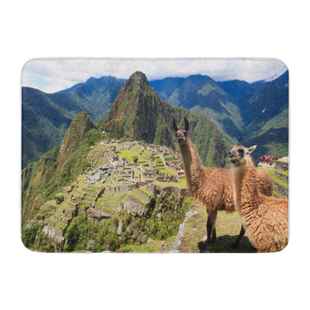 Llama Rugs From Peru Bryont Blog